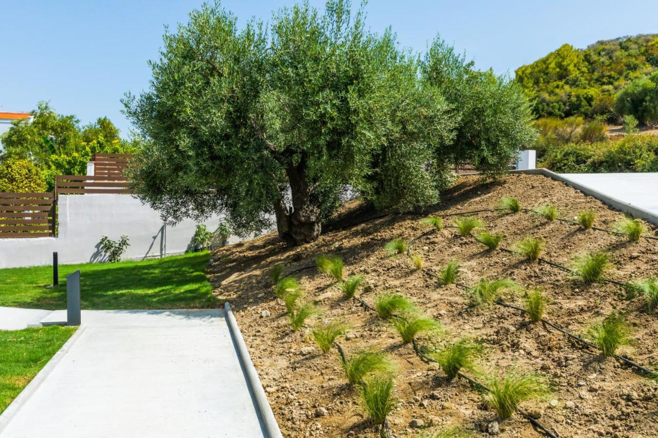 Dionisos Luxury Villa
