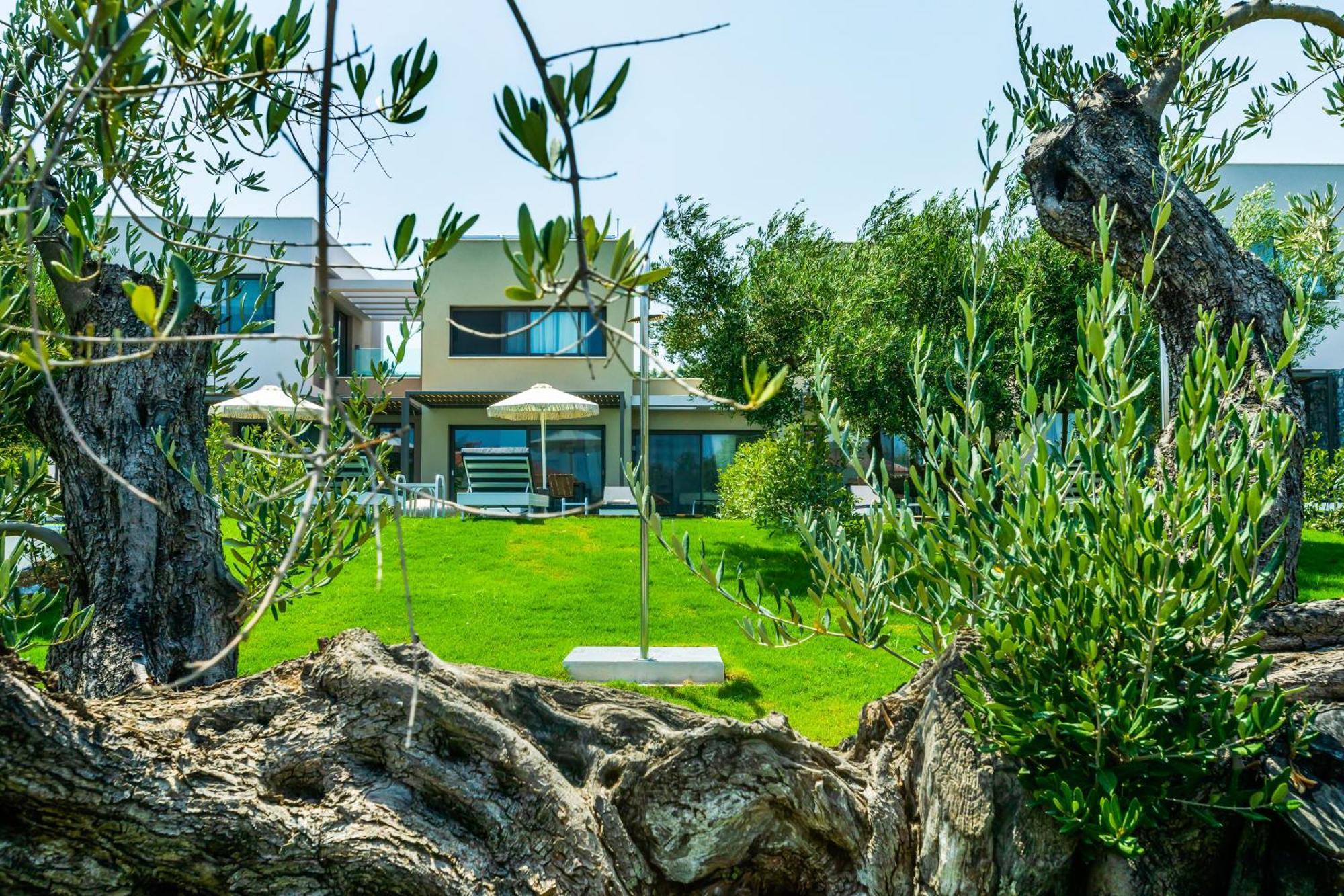 Dionisos Luxury Villa